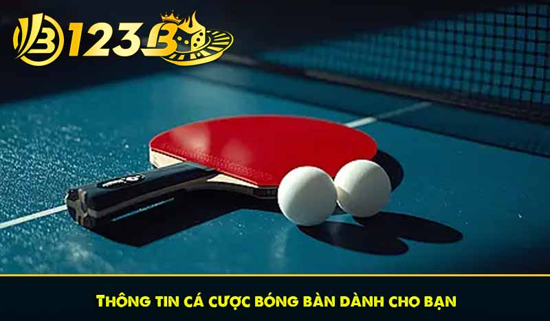 Cá cược bóng bàn - Siêu phẩm cá cược hàng đầu tại 123B 6 Thông tin cá cược bóng bàn dành cho bạn